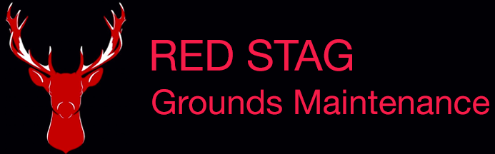 Red Stag Logo